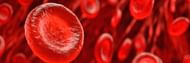 The condition can have both physical and mental consequences. It is best to get treatment as soon as possible. (Image via Google/ Redbloodcells)